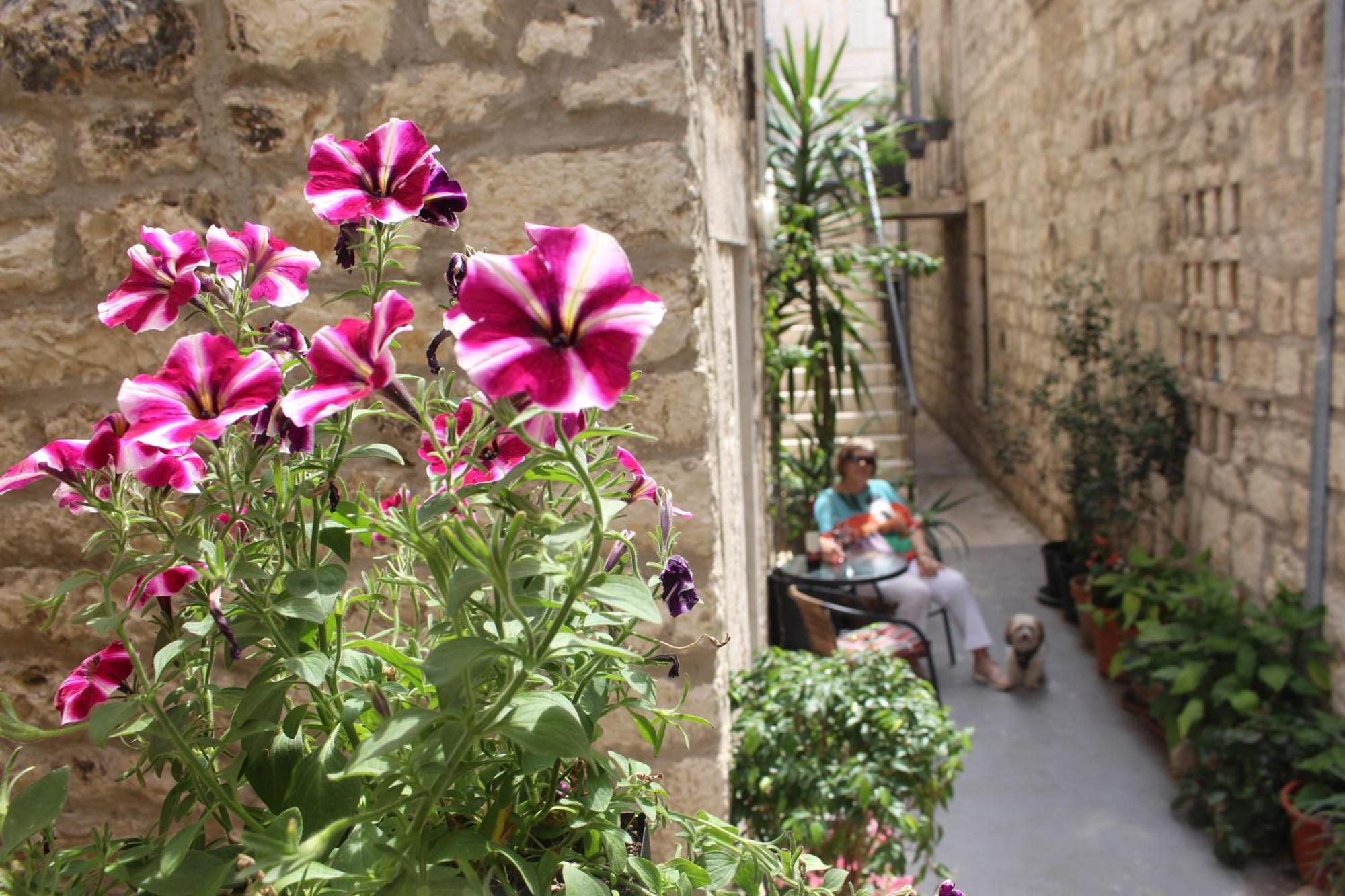 Street Garden Apartment Hvar Town Exterior foto